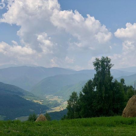 Pensiunea Poiana Viselor Poiana Mărului Exterior foto