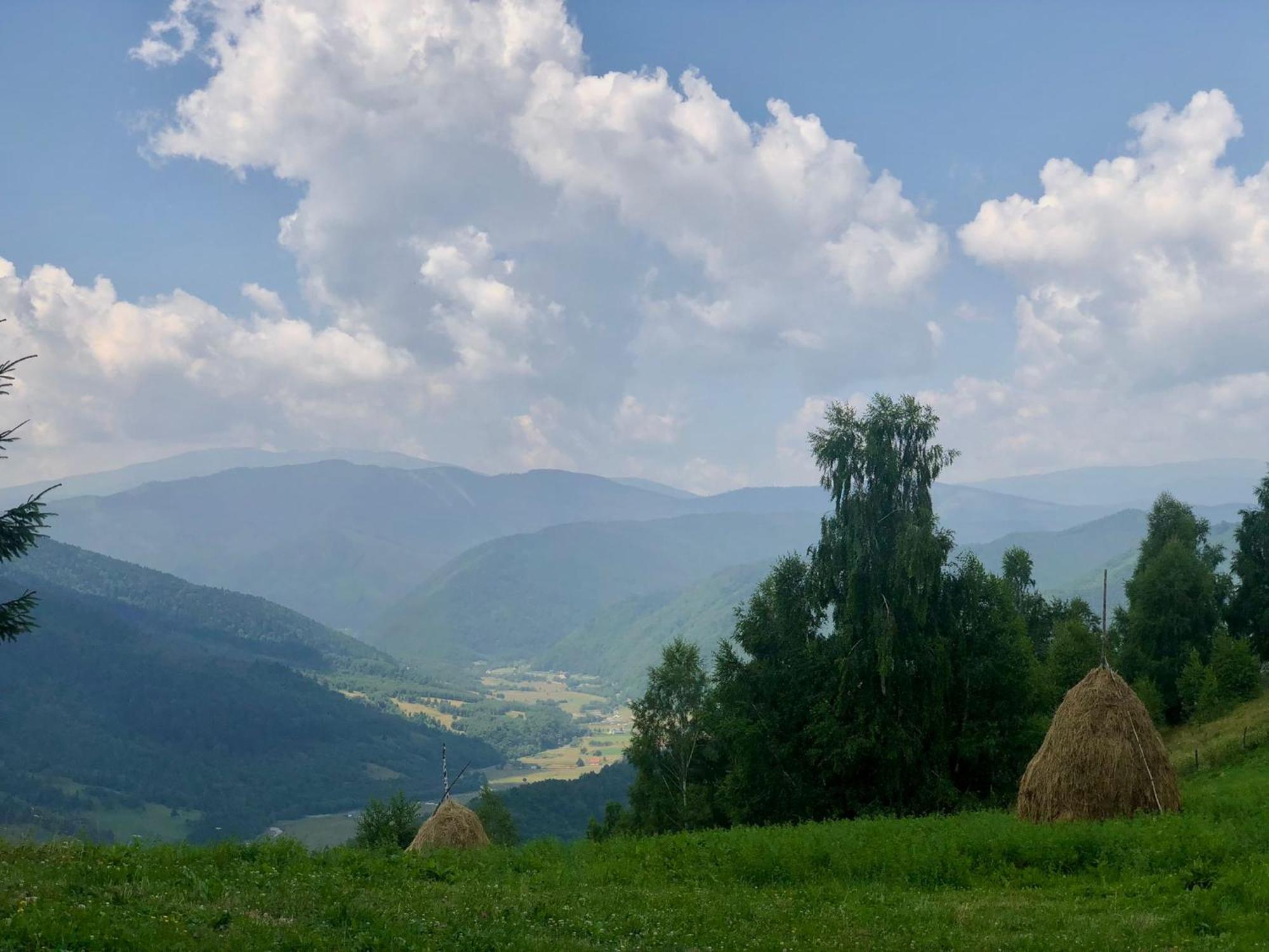 Pensiunea Poiana Viselor Poiana Mărului Exterior foto