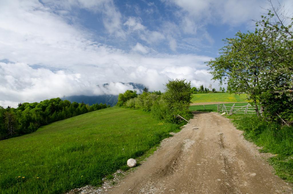 Pensiunea Poiana Viselor Poiana Mărului Exterior foto